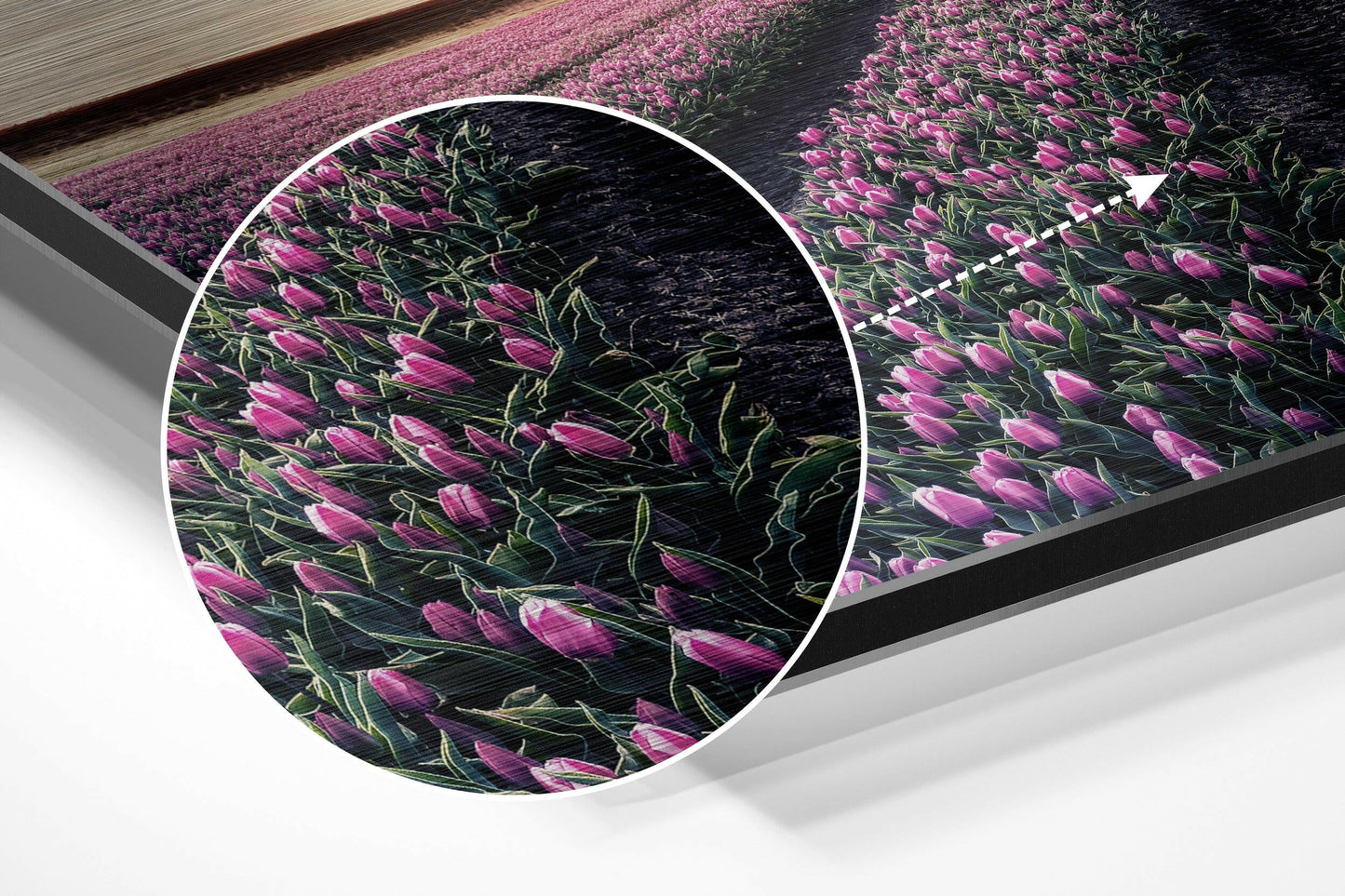 Close-up detail of brushed aluminium wall art showing vibrant pink tulips with green stems on dark background, circular magnified section highlighted.
