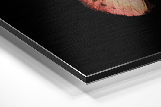Close-up angled view of layered Dibond panel showing brushed black surface with white backing and coral orange butterfly detail visible at top edge.
