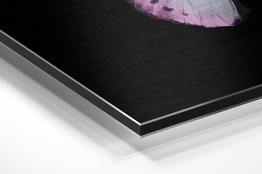 Close-up angled view showing layered edge of black brushed aluminum dibond panel with white backing, pink butterfly detail visible at top.