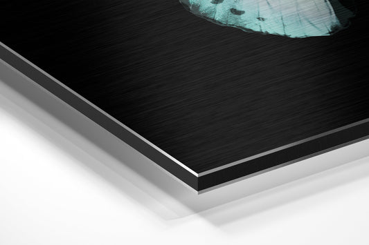 Close-up angled view of layered Dibond panel showing black brushed aluminum surface with teal butterfly detail visible at top edge.