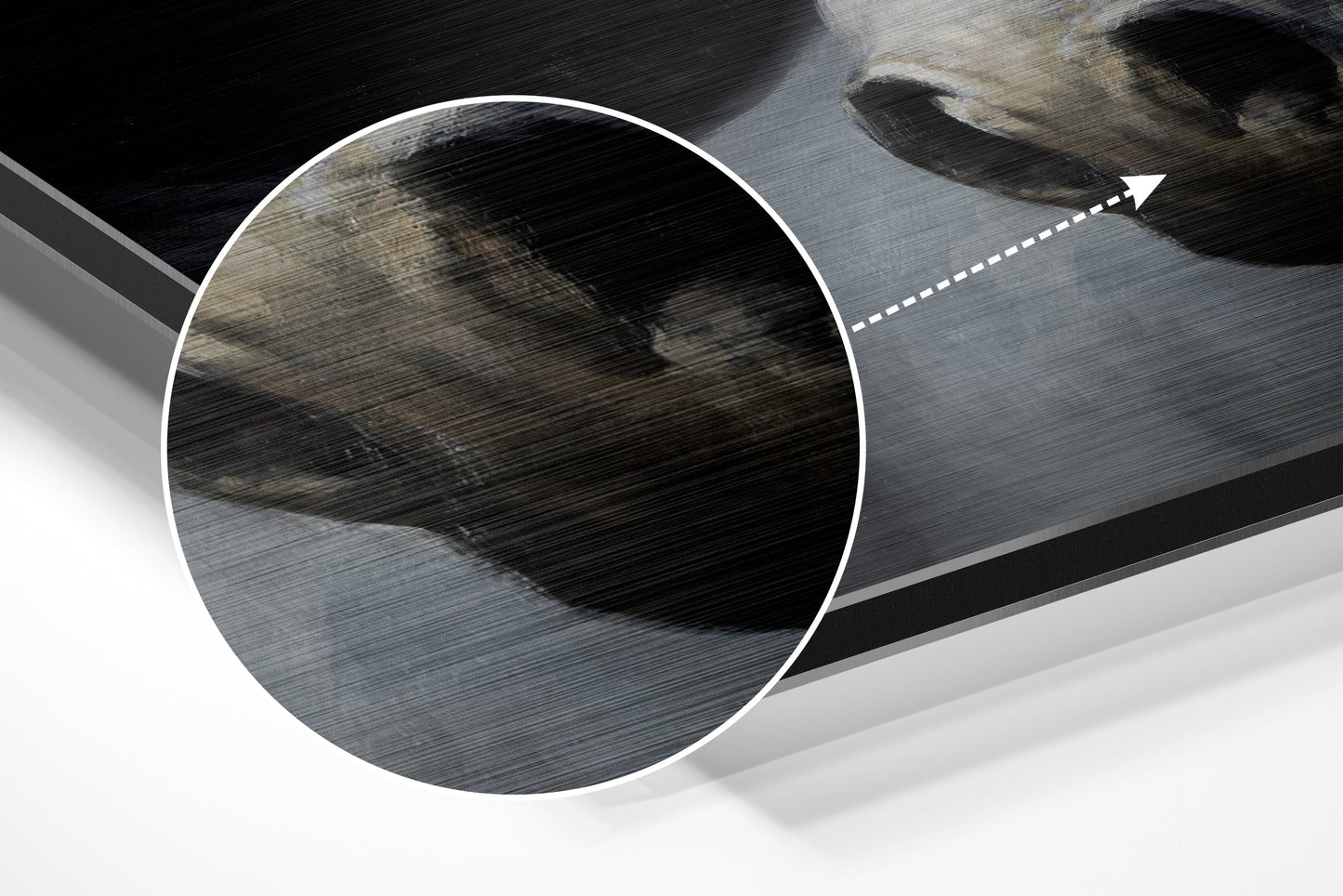 White Horse Head Dark Backdrop Brushed Aluminium Dibond Wall Art