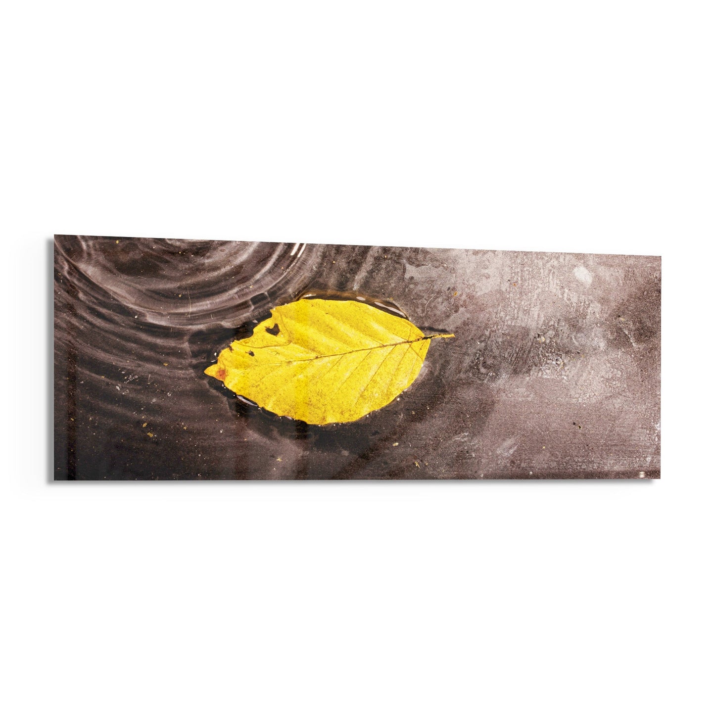 Bright yellow autumn leaf floating on dark water with circular ripples, displayed as a horizontal glass wall art panel.