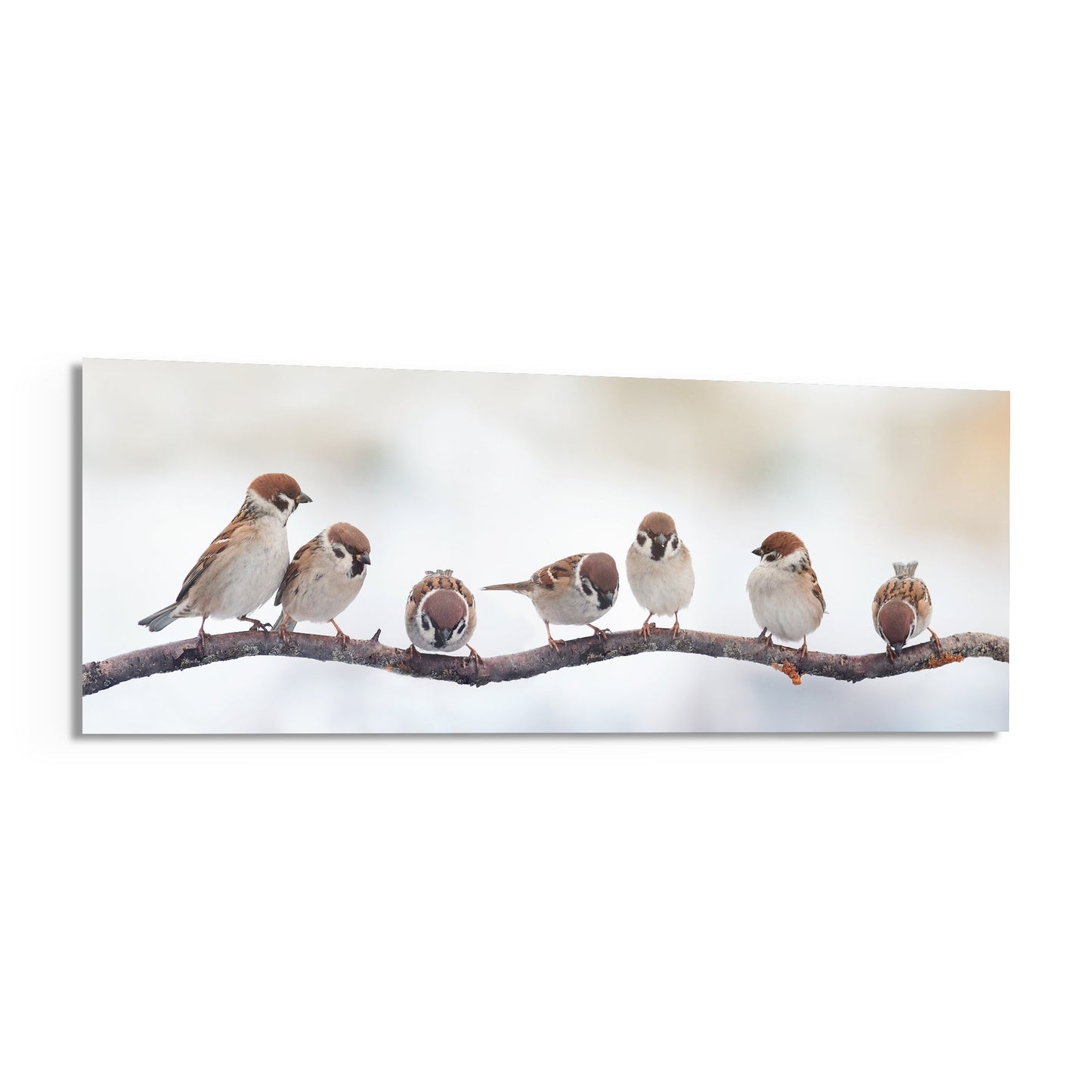 Seven Sparrows On A Bare Branch Glass Wall Art