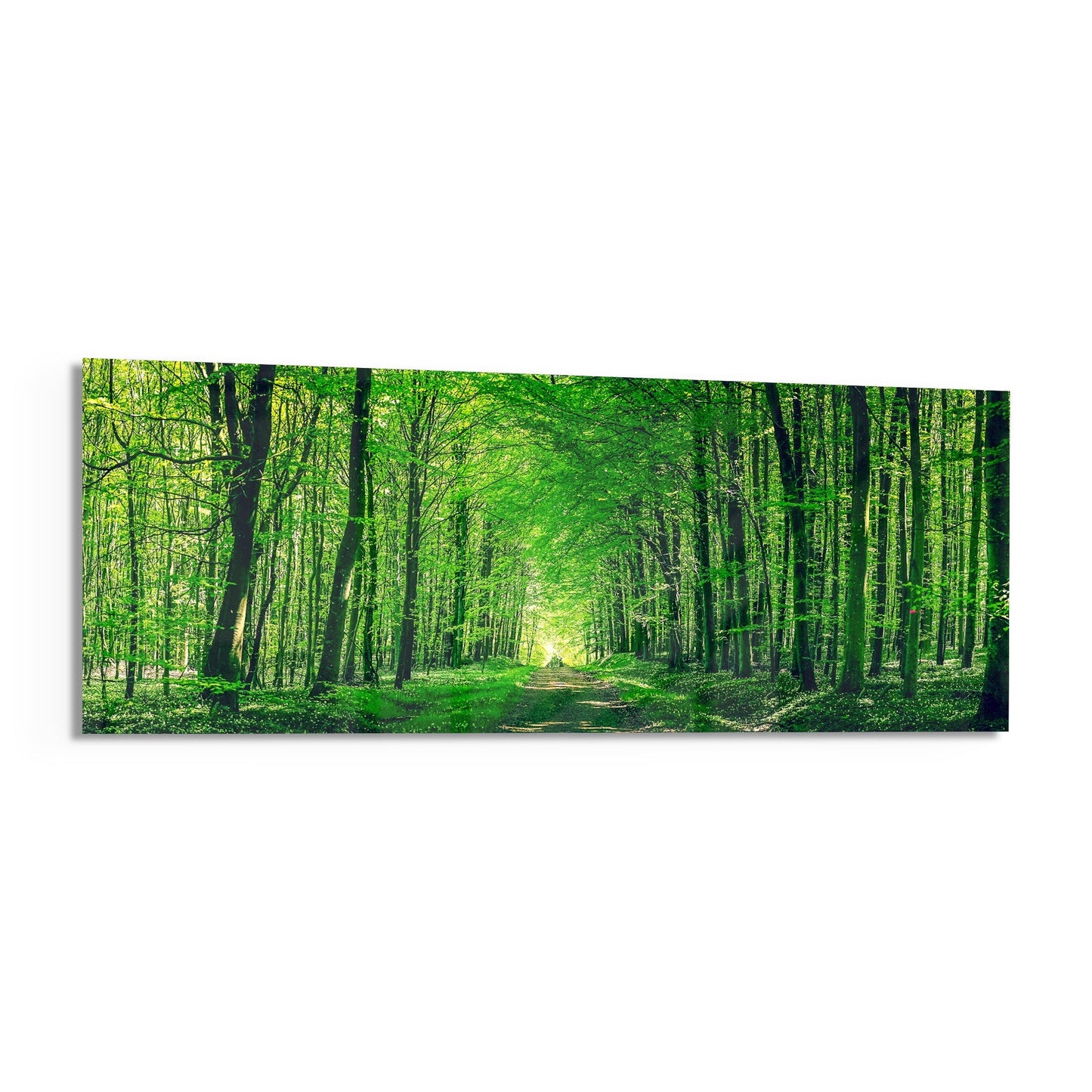 Leafy Tunnel Woodland Path Glass Wall Art