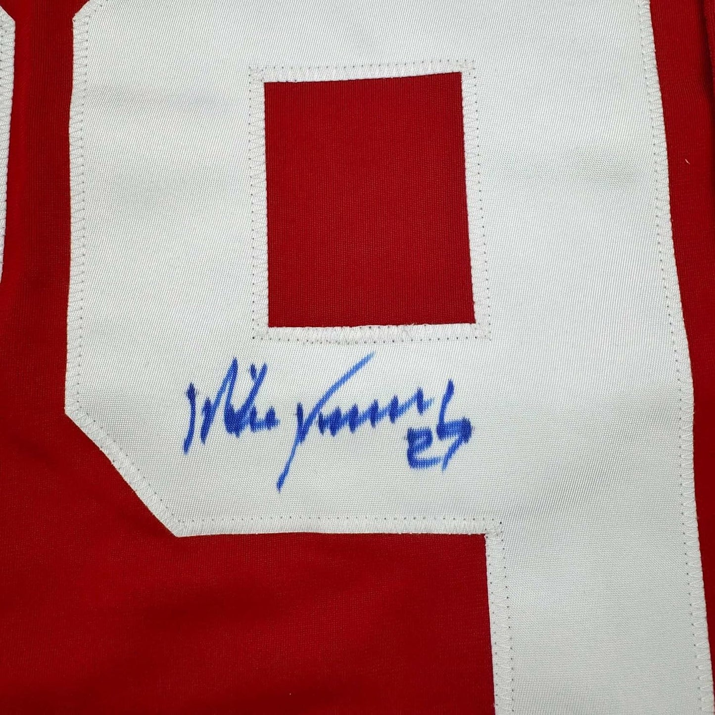 Close-up of autographed nameplate on red and white hockey jersey showing blue handwritten signature reading "Mike Vernon" with number 37.