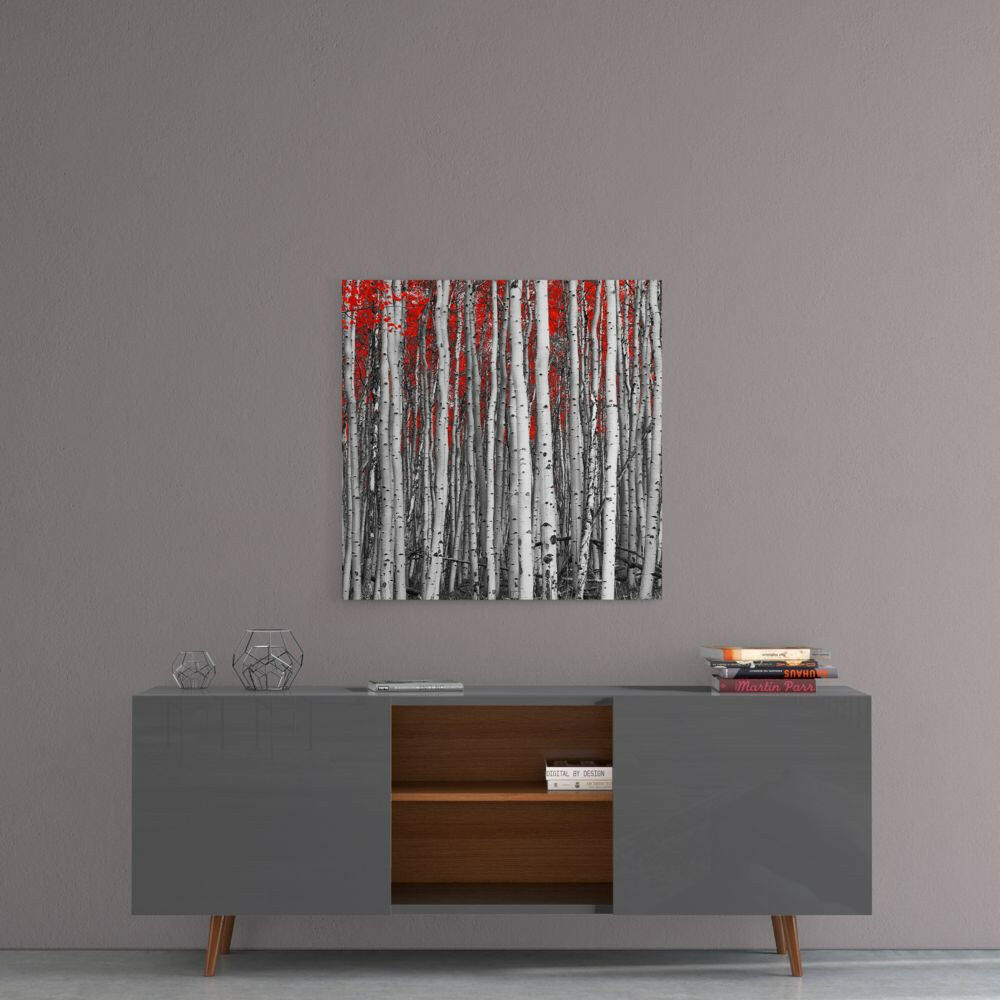 Square White Birch Trunks Red Leaves Glass Wall Art