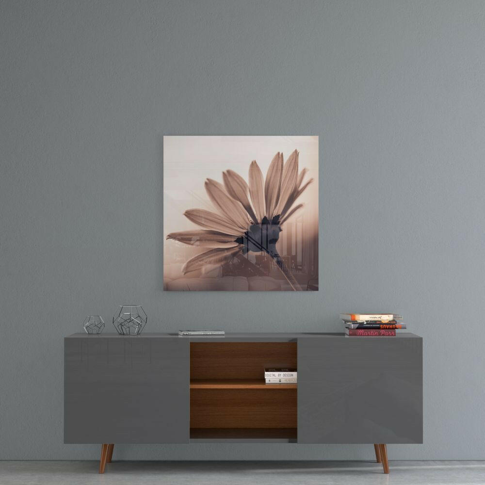 Sepia Backlit Daisy Glass Wall Art