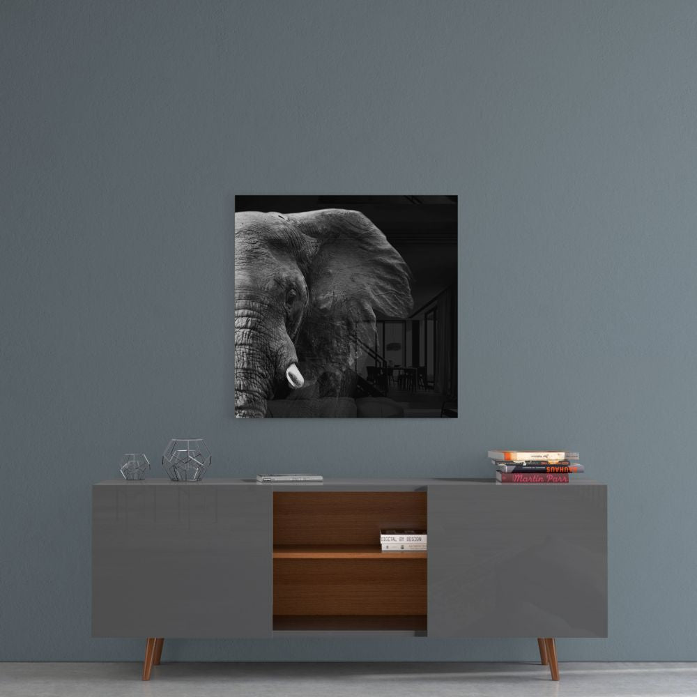 Split Light and Shadow Elephant Glass Wall Art