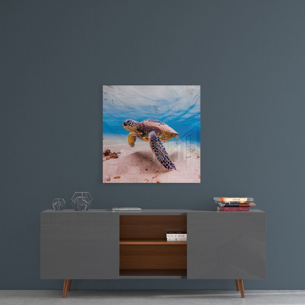 Green Sea Turtle Pink Seabed Glass Wall Art