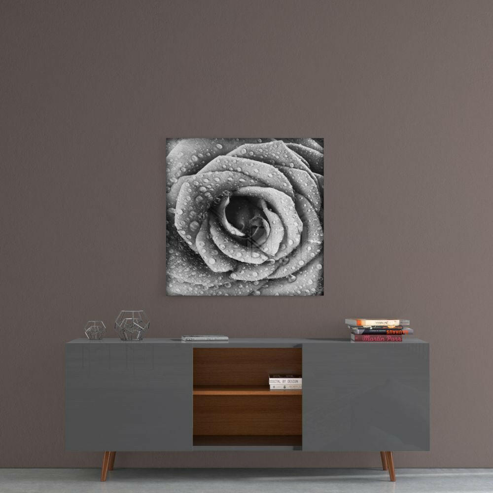 Black and White Dewy Rose Glass Wall Art