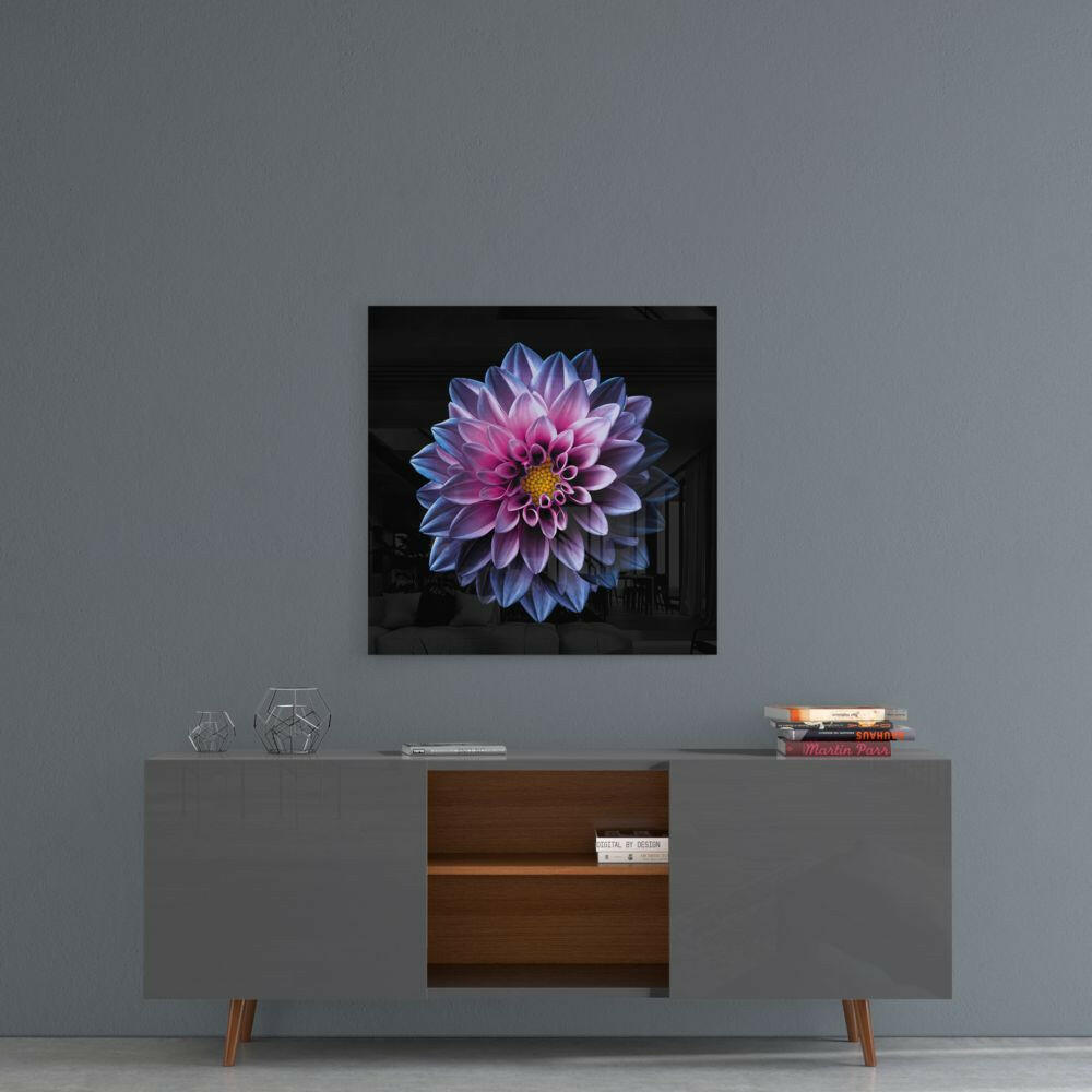 Pink and Blue Dahlia Bloom on Black Glass Wall Art