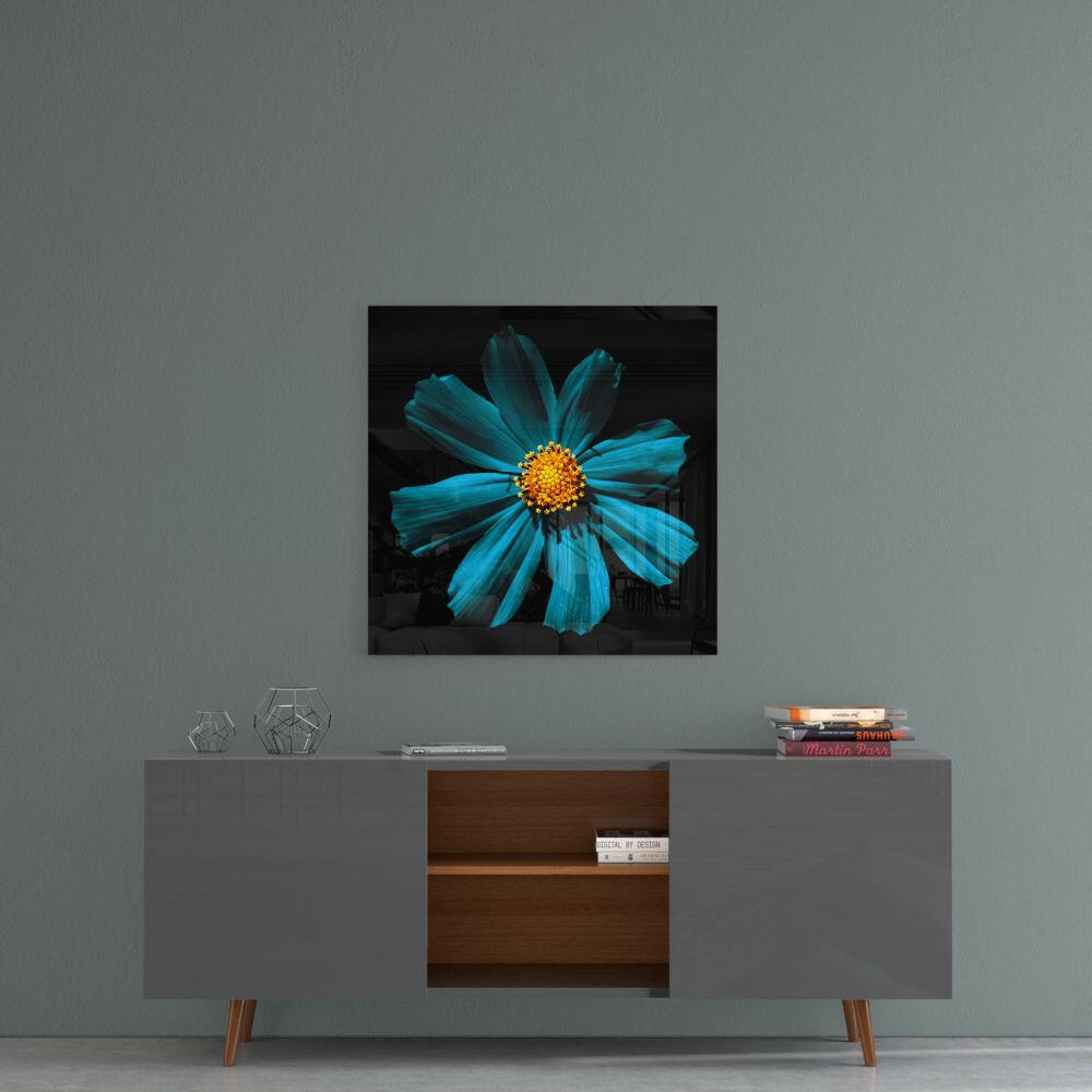 Turquoise Cosmos Bloom On Black Glass Wall Art