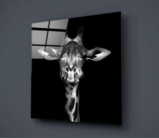 Black and white giraffe portrait on glass panel mounted on gray wall, showing animal's head and neck from front angle against dark background.