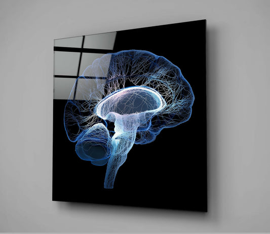 Blue wireframe brain illustration displayed on black glass panel mounted on gray wall, shown at three-quarter angle.