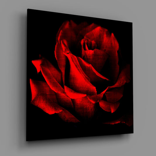 A vibrant red rose photographed against a black background, displayed as a square glass wall art panel shown at an angle.