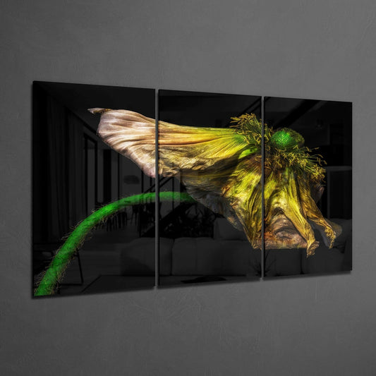 Three-panel black glass wall art displaying a wilting yellow poppy with green stem against dark background, mounted on gray wall.