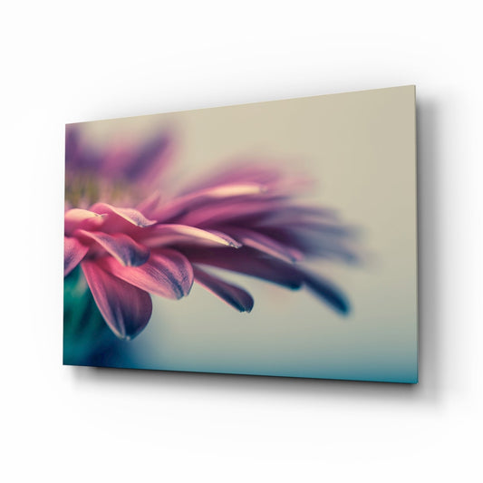 Angled view of glass wall art displaying soft pink gerbera petals with blurred background and teal-to-cream color gradient.