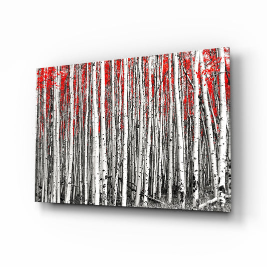 Glass wall art panel displaying a black and white birch forest with vibrant red foliage canopy at top, shown at an angle.