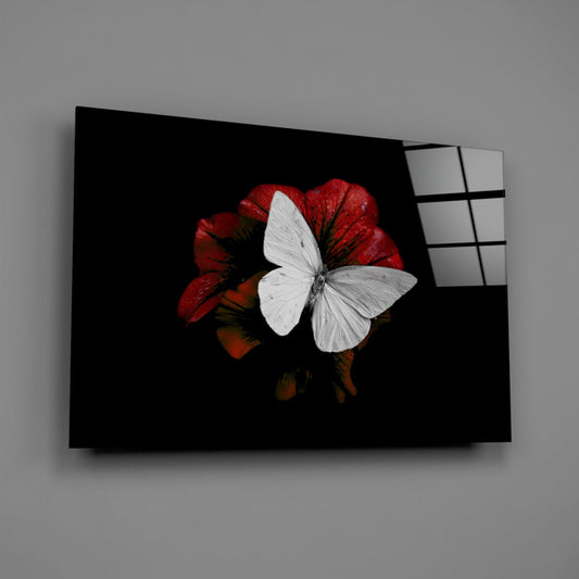 Glass wall art panel displayed at an angle showing a white butterfly perched on red flowers against a black background.