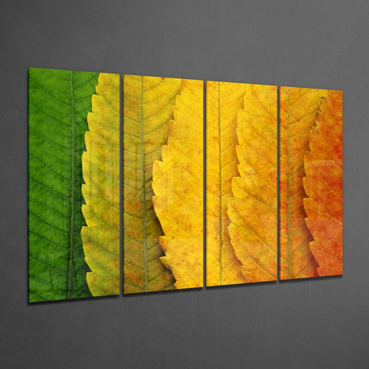 Four glass panels displaying leaves transitioning from vibrant green to golden yellow to orange, mounted on gray wall at angle.