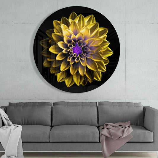 Round black glass wall art featuring a yellow dahlia with purple center, displayed above a gray sofa in a modern interior setting.