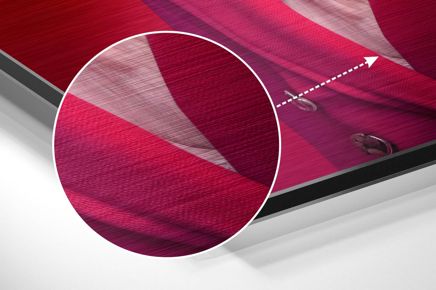 Crimson Hat Goose in Pink Blazer Brushed Aluminum Dibond Wall Art