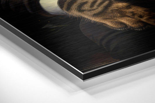 Close-up angled view of layered aluminum and white substrate edges of brushed metal wall art print featuring tabby cat illustration.