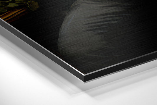 Close-up detail shot showing layered edge of black brushed aluminum dibond panel with white core and silver trim against white background.