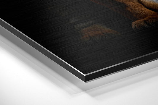 Close-up angled view of black brushed aluminum Dibond panel with silver beveled edges and white base layer visible.