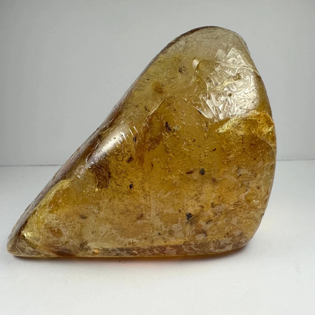 Translucent amber fossil with trapped prehistoric insects and golden flecks