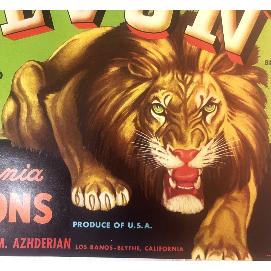 Fierce lion with golden mane on a vintage Levon crate label from the 1940s
