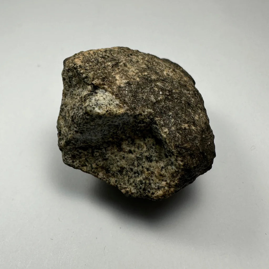 Rugged chondrite meteorite from South Sahara Desert, Morocco, with gray-beige speckles
