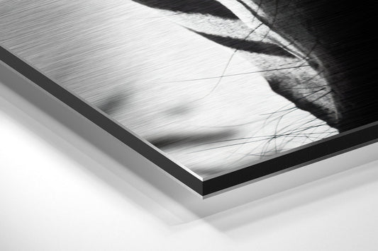 Close-up angled view of brushed aluminum dibond panel showing zebra stripes detail with black frame edge.