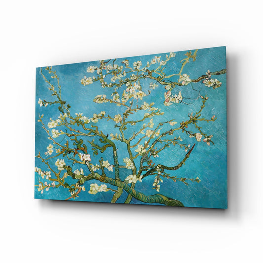 Glass wall art panel displaying Van Gogh's almond blossoms painting with white flowers on turquoise background, angled perspective view.
