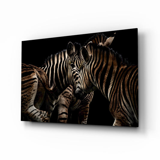 Two zebras with heads together against a black background, displayed on a glass wall art panel with warm brown and white striping visible.