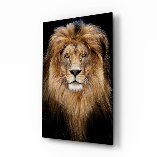 Majestic lion with full mane facing forward against black background, displayed as mounted glass wall art panel.