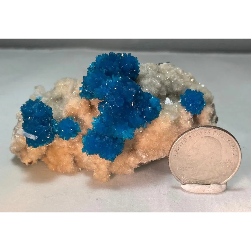 Vibrant blue cavansite and stilbite crystals on matrix from Pune, India