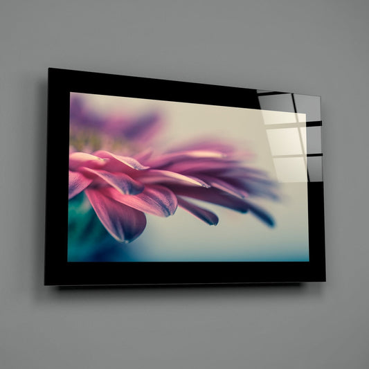 Black-framed glass wall art displaying a close-up macro photograph of pink daisy petals with soft blue and cream blurred background, mounted on gray wall.