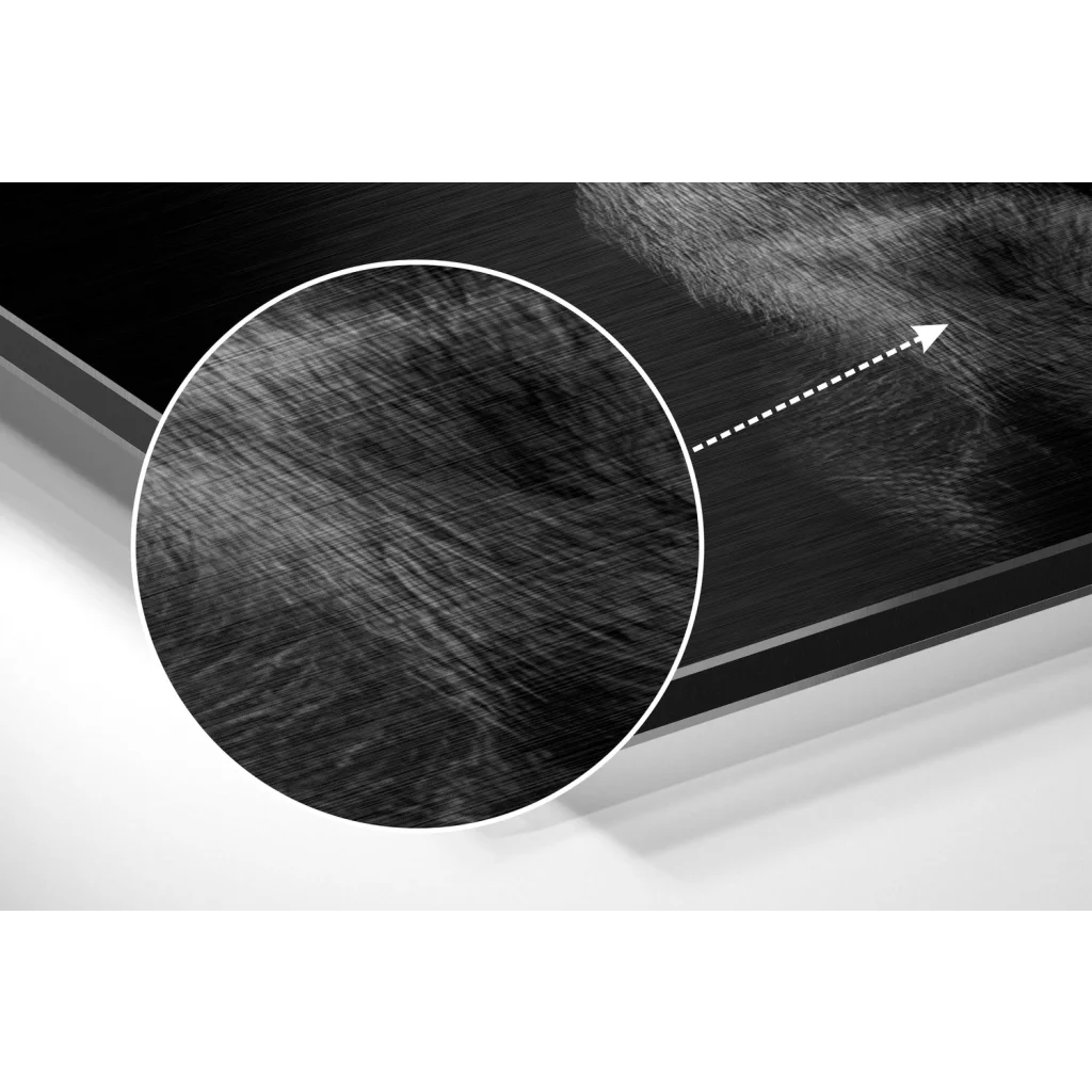 Brushed aluminium dibond wall art of Doberman with gun on black textured fibrous surface