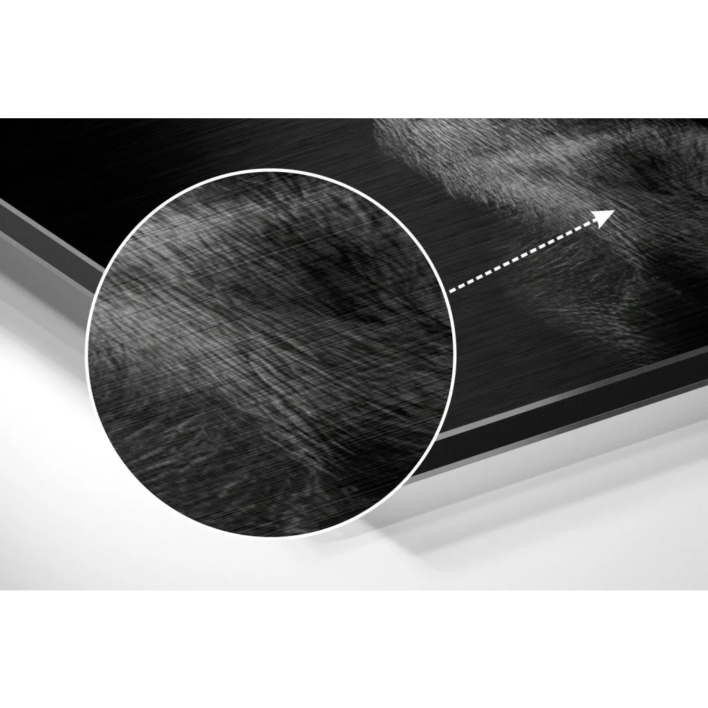 Badass Doberman portrait on brushed aluminium dibond with black textured fibrous pattern