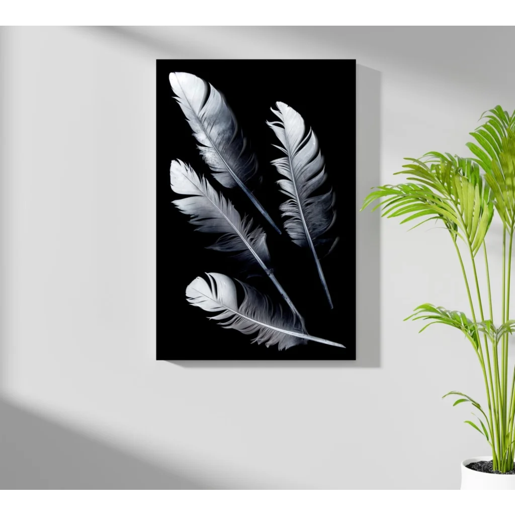 Stunning white feathers on Insigne aluminum prints