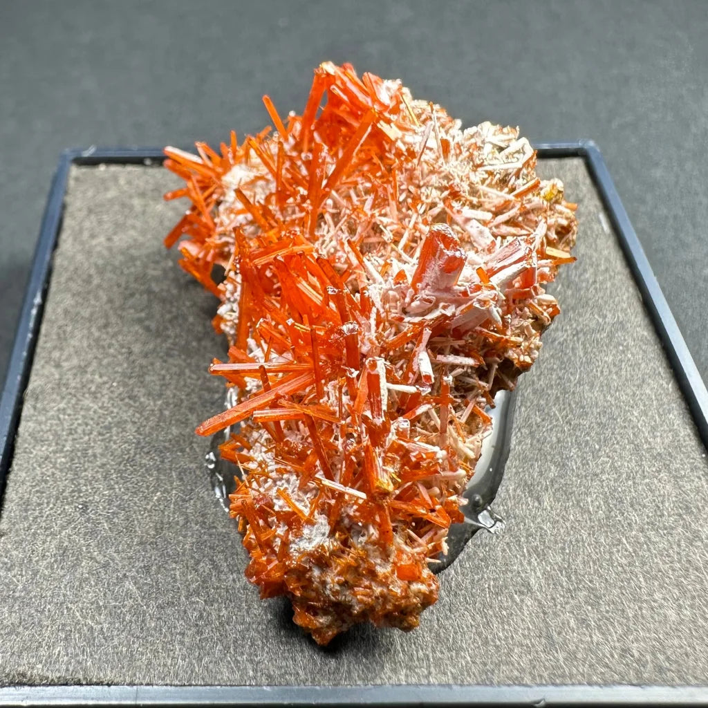 Vibrant fiery orange Crocoite crystal spikes from Tasmania