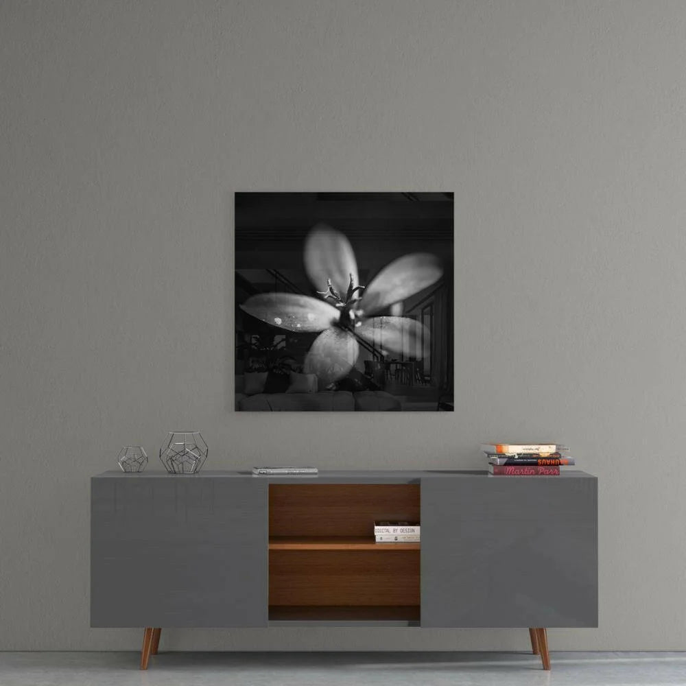 Stunning monochrome glass wall art of blurred flower dewdrops on wall