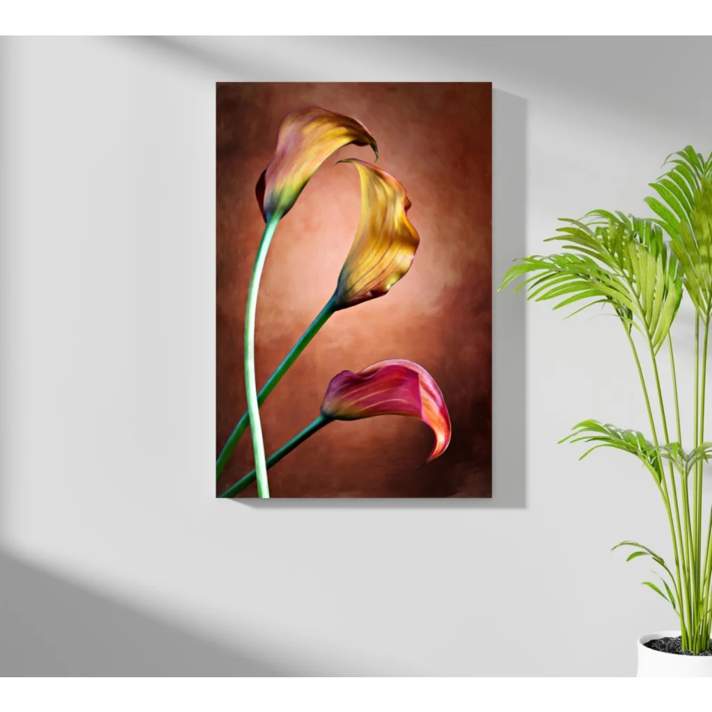 Vibrant gradient calla lilies on insigne aluminum prints