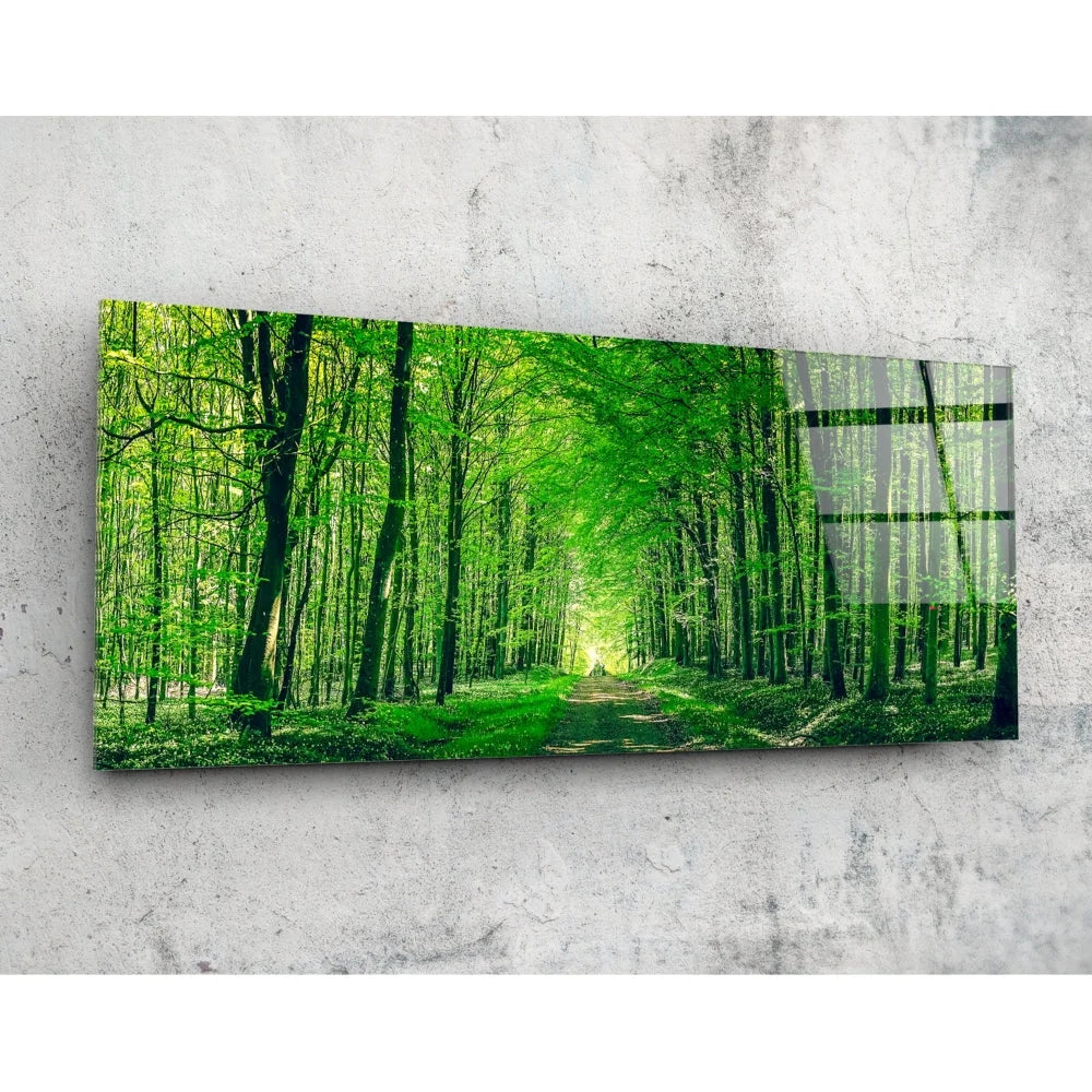 Vibrant forest pathway tempered glass art panel on glossy acrylic