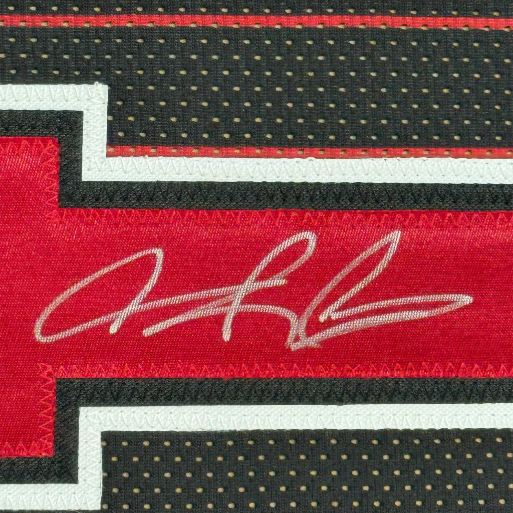 Framed autographed Dennis Rodman Chicago Pinstripe jersey, red black mesh