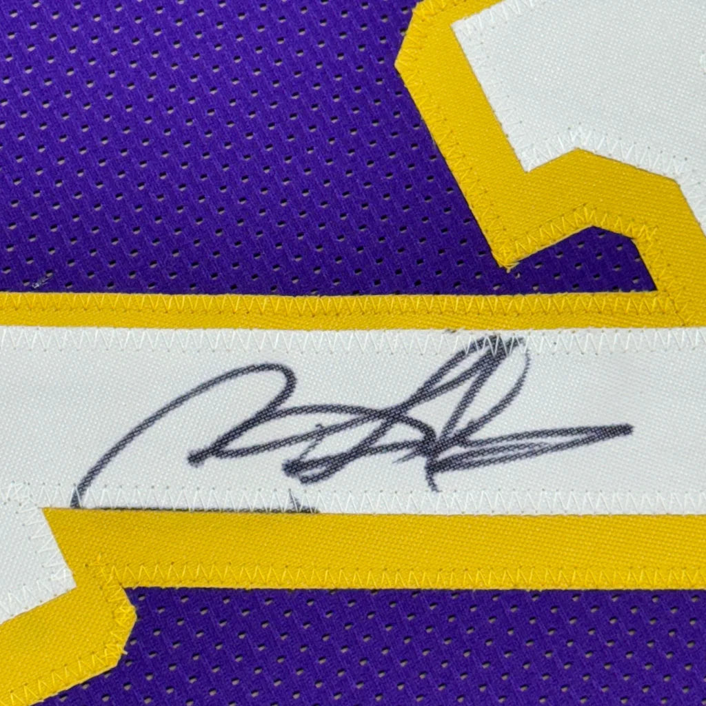 Framed autographed Dennis Rodman LA purple basketball jersey with gold mesh and white stripe, PSA/DNA COA
