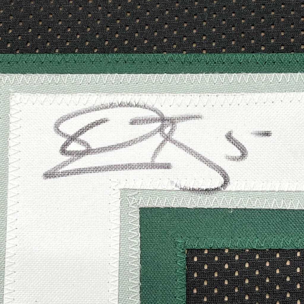 Autographed white fabric with green and black accents in Donovan McNabb jersey frame