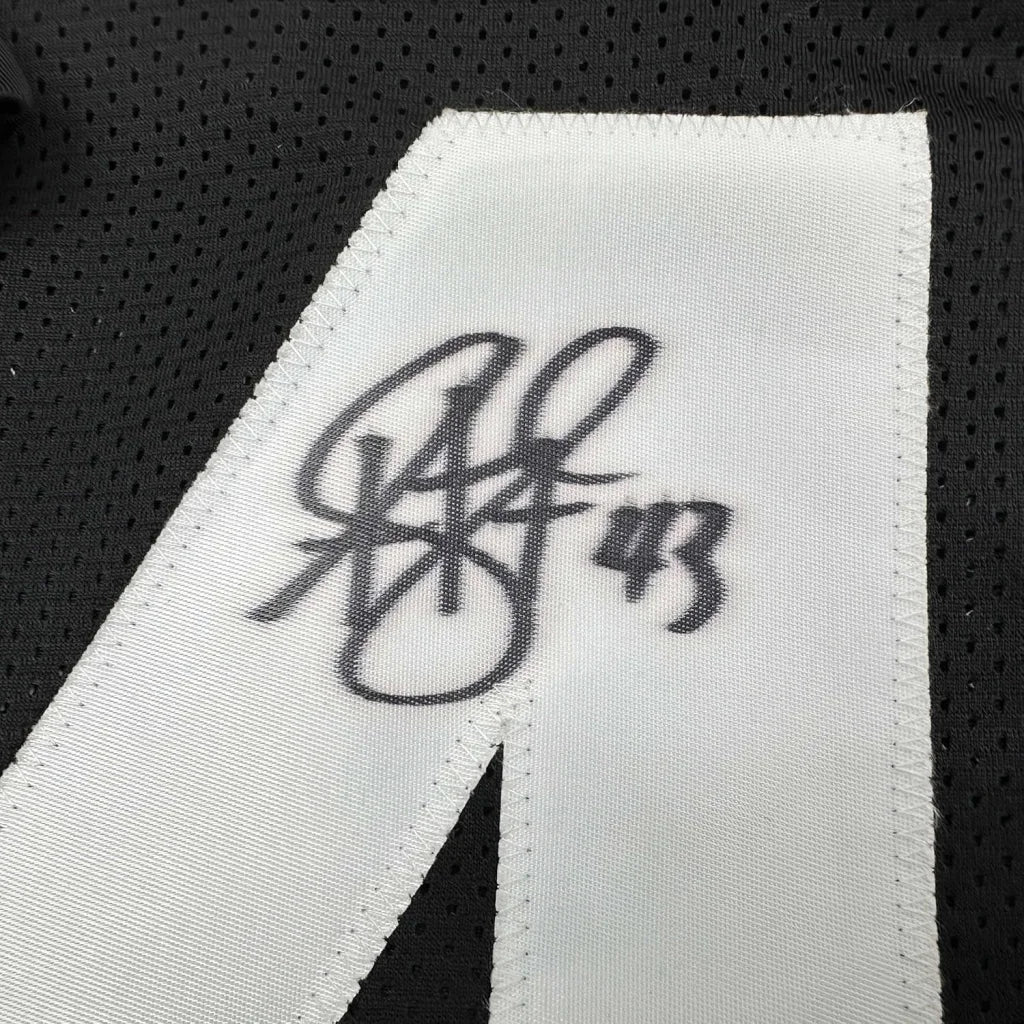 Framed autographed Troy Polamalu Pittsburgh black retro jersey with JSA COA