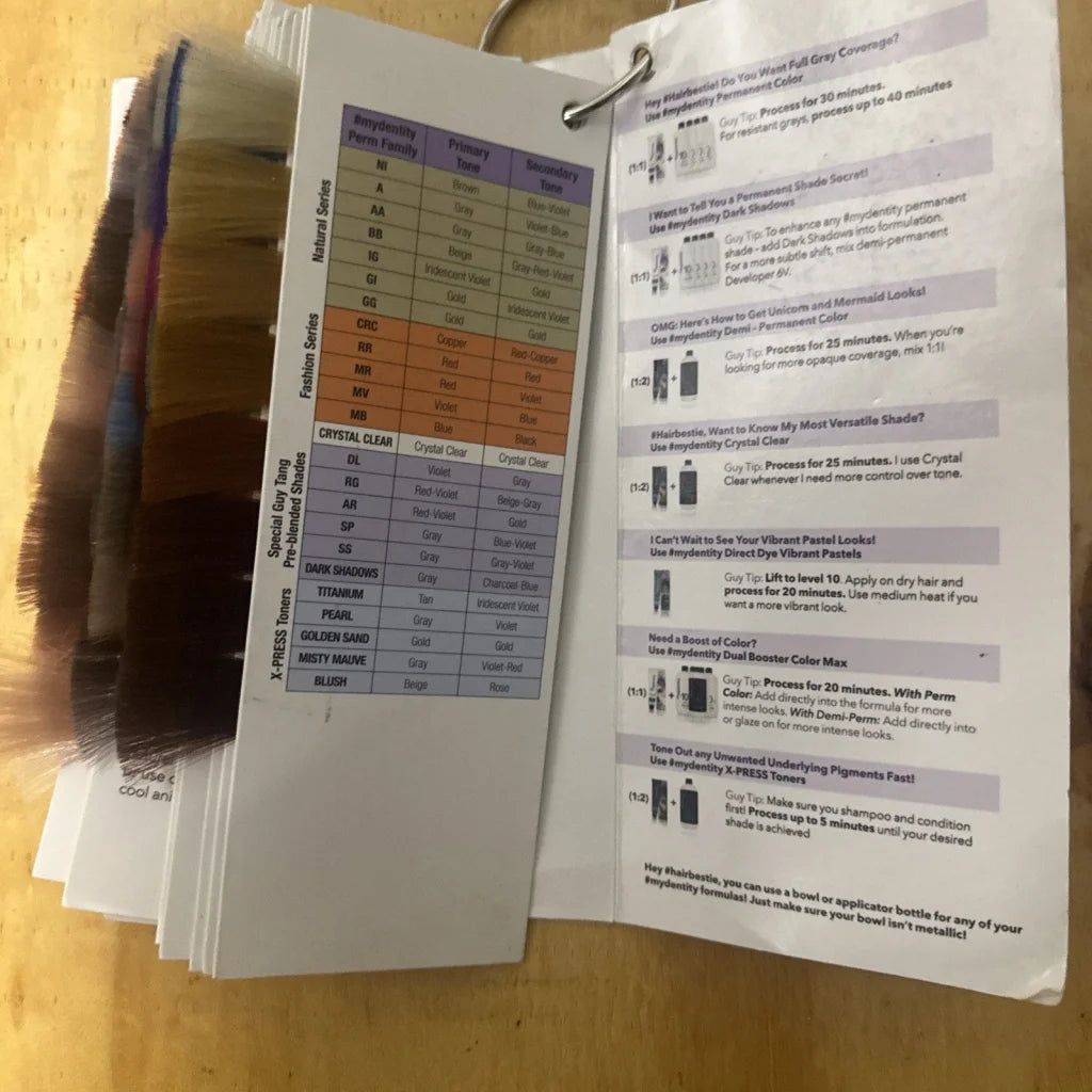 Guy Tang Mydentity color catalog open with color charts